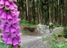Shoneck bikepark - 2016
