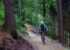 Shoneck bikepark - 2016