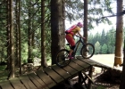 #MTBbikepark - Špičák - report 2017