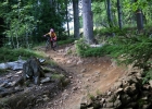 #MTBbikepark - Špičák - report 2017