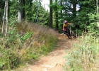 #MTBbikepark - Špičák - report 2017