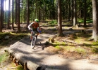 Bikepark Spicak - preview