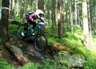 Bikepark Špindl