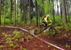 Blinduro 500+ (2019) - report Andrea Drengubakova
