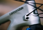 Cannondale Habit (2019) - preview
