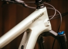 Cannondale Habit (2019) - preview