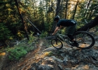 Cannondale Habit (2019) - first review