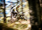 Cannondale Habit (2019) - first review