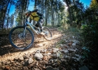 Cannondale Habit (2019) - first review