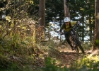 Cannondale Habit (2019) - first review