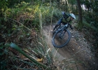 Cannondale Habit (2019) - first review