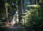 Cannondale Habit (2019) - first review