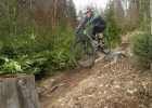 Cannondale Habit Carbon 2 (2019) - review