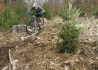 Cannondale Habit Carbon 2 (2019) - review