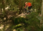 Cannondale-Jekyll-275-4-TEST-06