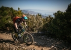 Cannondale Trigger
