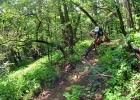 Cannondale Scalpel Carbon SE 2 - review
