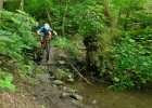 Cannondale Scalpel Carbon SE 2 - review