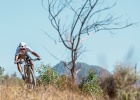 Cannondale Scalpel SE MY2021 - preview