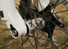 CANYON Nerve Al 9.0 - TEST