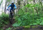 CANYON Neuron 9.9 SL - review