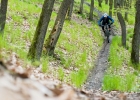 CANYON Neuron 9.9 SL - review