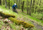 CANYON Neuron 9.9 SL - review