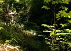 Canyon Spectral AL 7.0 - TEST