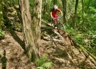Canyon Spectral:ON - review