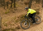 CANYON Strive CF 8.0 - TEST