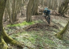 DeVinci Spartan - review