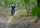 Devinci Troy - Review