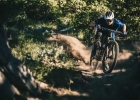 Devinci Troy Carbon (29 / 27,5) 2019 - preview