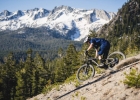 Devinci Troy Carbon (29 / 27,5) 2019 - preview
