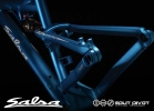Salsa bikes + Split Pivot