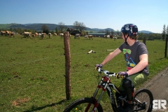 Dolní Morava - Květen 11