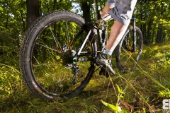 Ellsworth Truth - Test