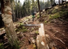 Enduro Race Spicak 2015 | Foto: Milos Lubas
