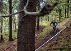 Kona Enduro Race Klínovec 2019 - report Andrea Drengubáková