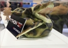 Eurobike 2014 - poslední fotogalerie