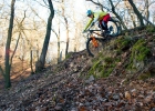 EVIL Wreckoning - review