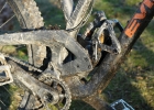 EVIL Wreckoning - review