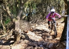 EWS Olargues - Andrea Drengubakova - report