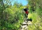 EWS Olargues - Andrea Drengubakova - report