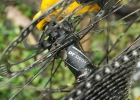 GHOST Asket 4.9 AL - review