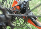 Ghost Fire Road Rage - review