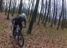 GIANT Anthemm 27,5 1 - TEST