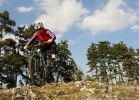 GIANT Anthemm 27,5 1 - TEST