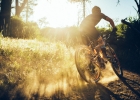 Giant Anthem 29 / Anthem Advanced 29 (MY2018) - preview