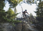 GIANT Trance X 29 - tech news